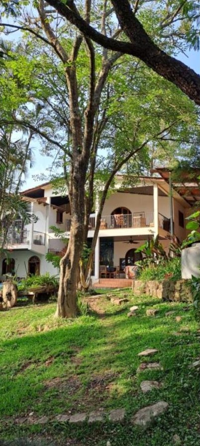 The villa seen across the lawn through a great shade tree